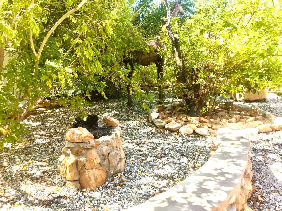 Mountain View Eco Lodge Montagu Exteriör bild