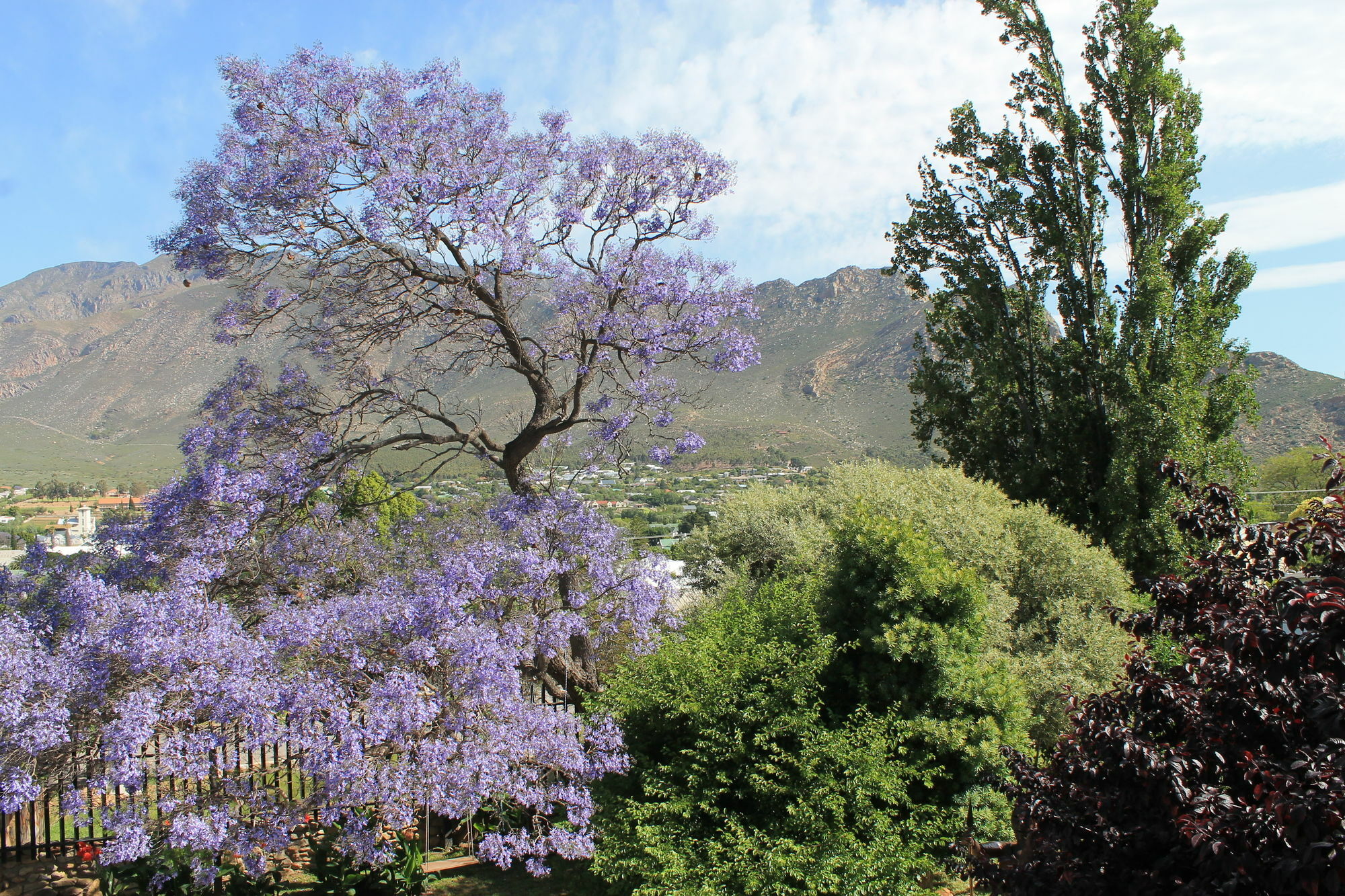 Mountain View Eco Lodge Montagu Exteriör bild